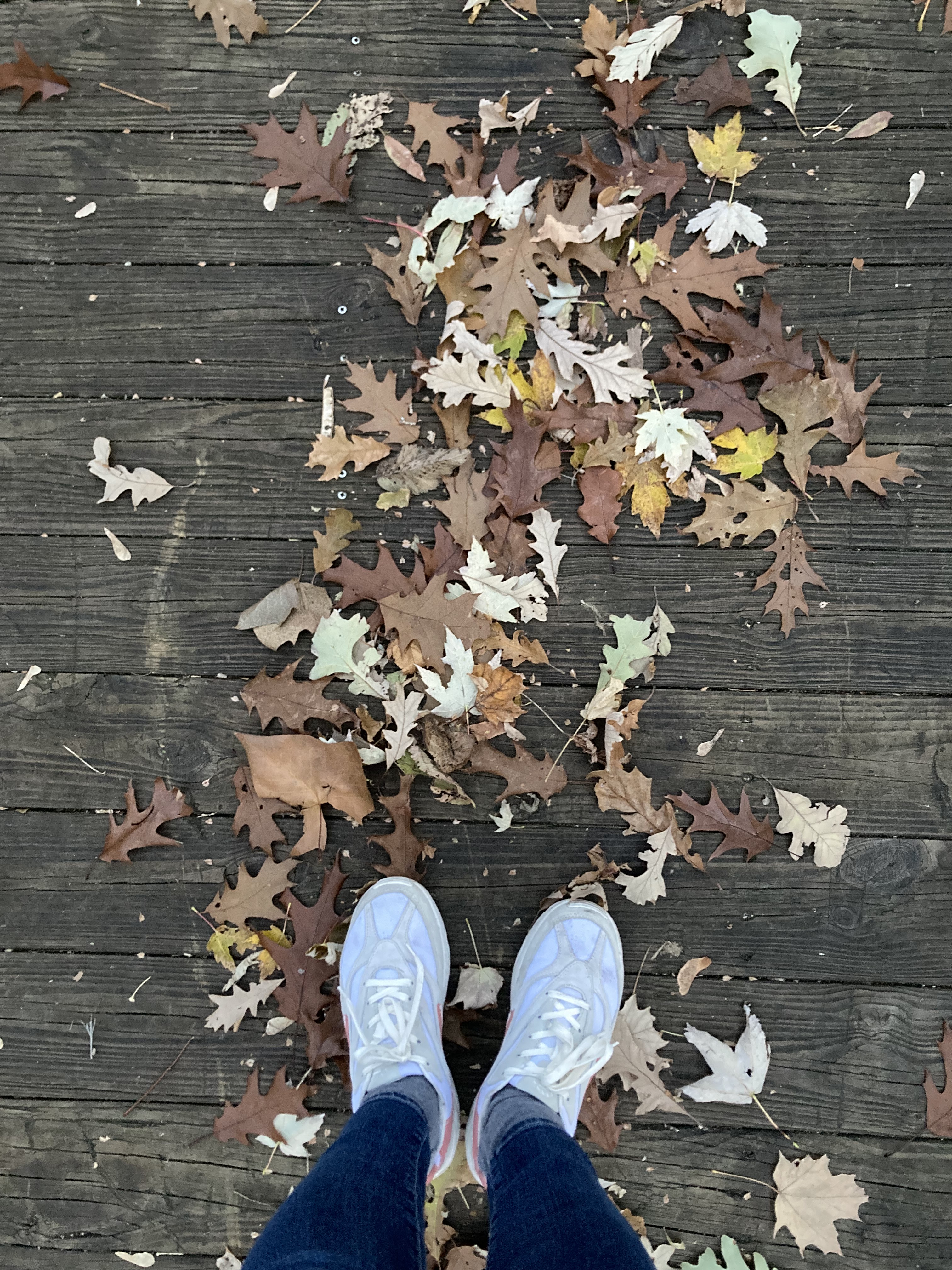 Walking on the bridge, with dry leaves underfoot
