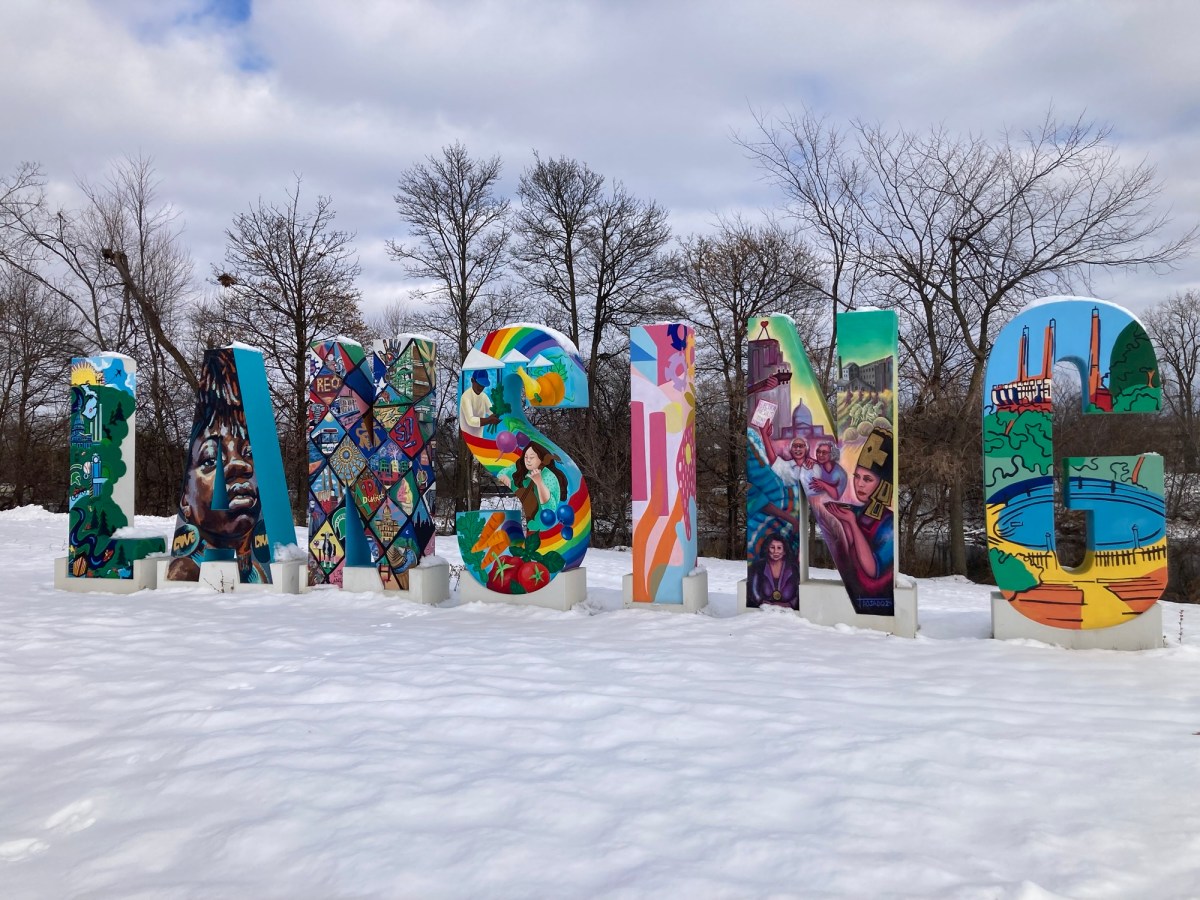 Wintertime ❄️ Lansing&nbsp;sign